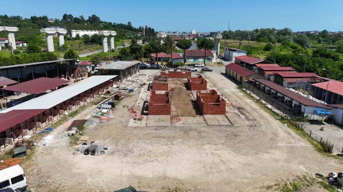 Orduda sokak hayvanlarına modern yaşam alanı
