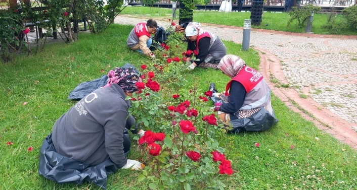 Ordunun dört bir yanı çiçek bahçesine dönüştürüldü
