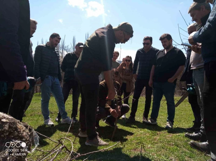 Posofta meyve ağaçlarını budama ve aşılama kursu düzenlendi
