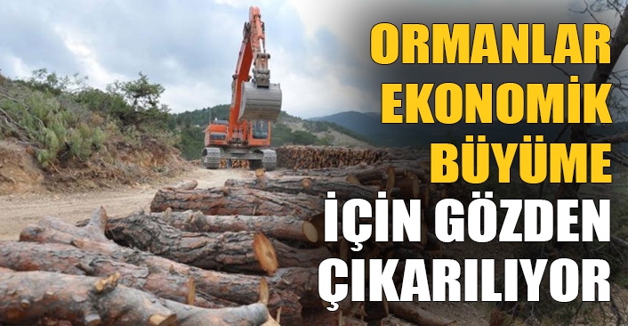 Prof. Dr. Erdoğan Atmış: Ormanlar ekonomik büyüme için gözden çıkarılıyor