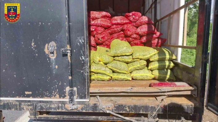 Sakaryada midye vurgunu: Resmi evraksız 5 ton midyeye el kondu
