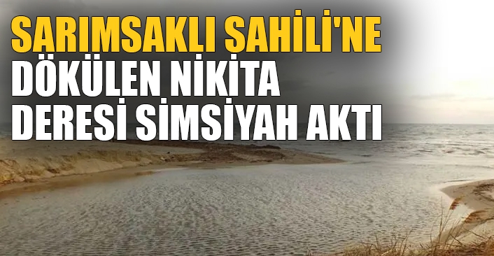 Sarımsaklı Sahili'ne dökülen Nikita Deresi simsiyah aktı