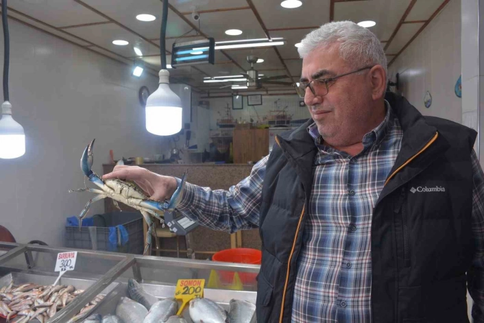 Sinopta dev mavi yengeç görenleri şaşırttı
