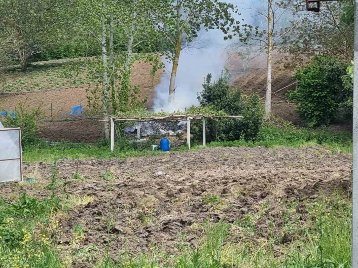 Sinopta tarlada yangın paniği
