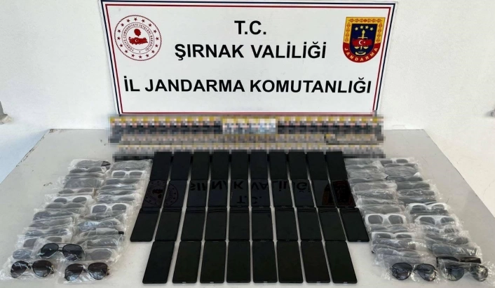 Şırnakta 3 milyon 800 bin lira değerinde kaçak ürünler ele geçirildi
