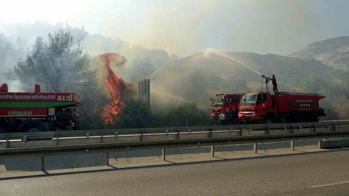 Sökedeki yangın kontrol altına alındı