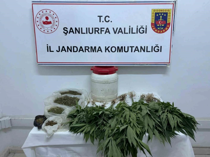 Suruçta uyuşturucu ele geçirildi
