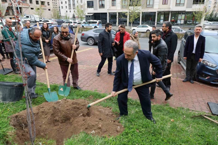 Talasta anlamlı fidan dikimi
