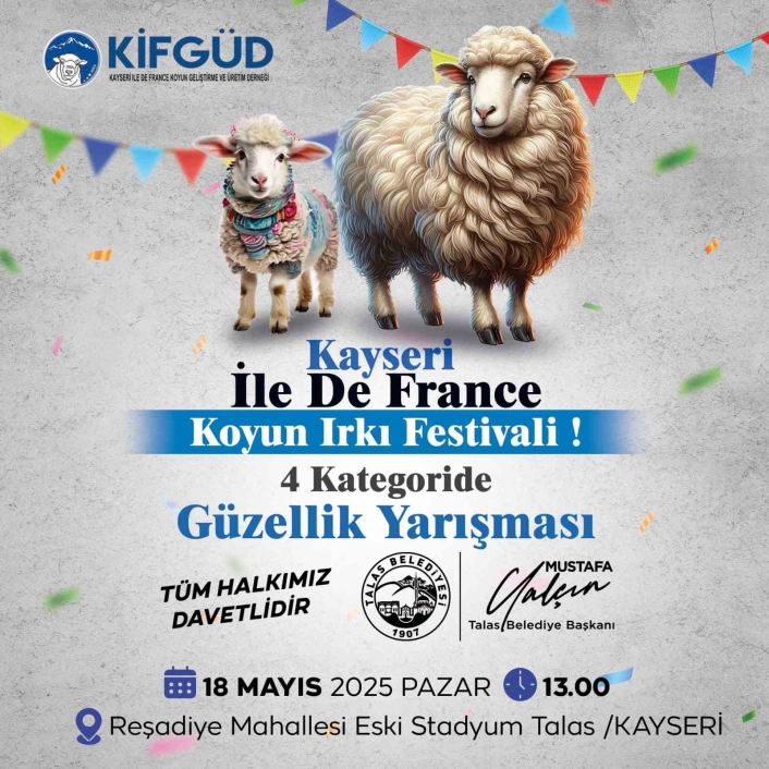 Talasta Ile De France Koyun Irkı Festivali ve Güzellik Yarışması
