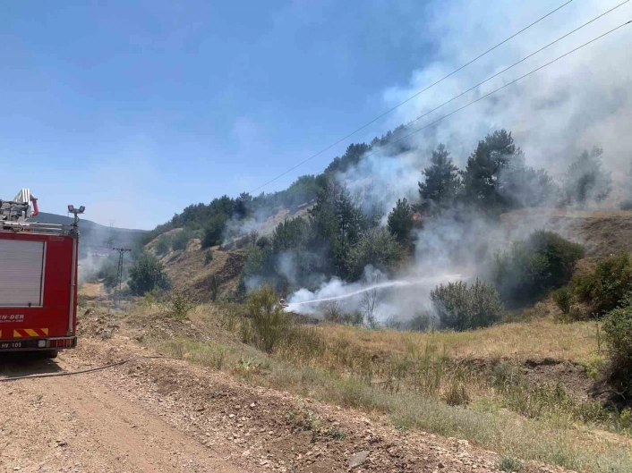 Tavşanlıda orman yangını erken müdahaleyle söndürüldü
