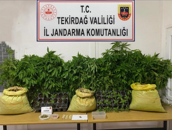 Tekirdağda jandarmadan uyuşturucu operasyonları: Çok sayıda madde ele geçirildi
