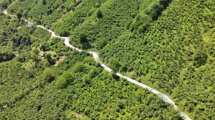 Termede beton yol çalışması
