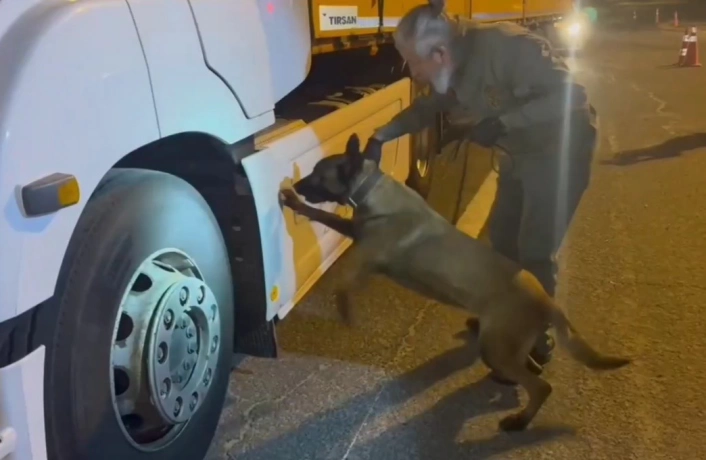 Tırdaki 5,5 kilogram uyuşturucuyu Viva buldu
