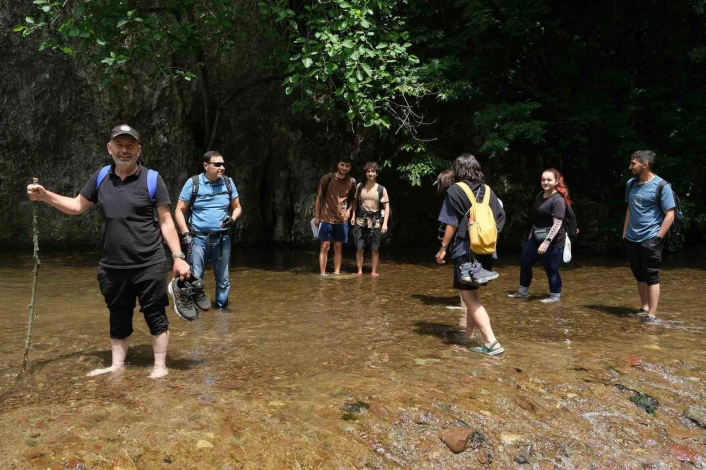 Türkiyenin yeşil cenneti içinde büyüleyici bir yolculuk
