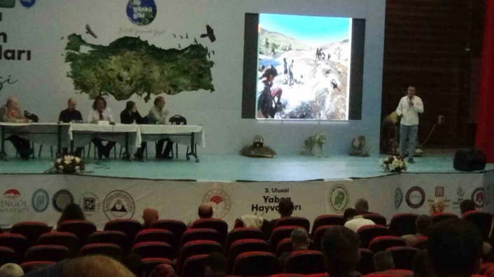 Van Gölünün oluşumu ve inci kefalinin mücadelesi
