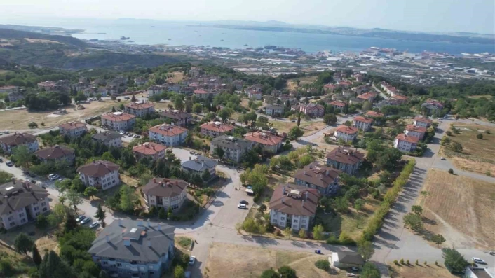Yalovada tepki çeken hayvan besleme yasağı
