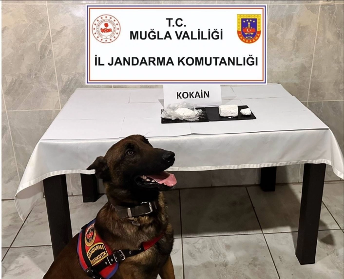 Yolcu otobüsünde 290 gram kokain yakalandı